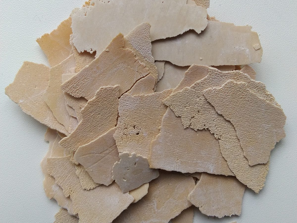 Flakes of limescale chipped out of a kettle